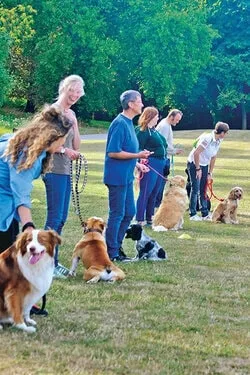 Cours collectif d’éducation canine avec un éducateur, des propriétaires et leurs chiens, pour un apprentissage en groupe.